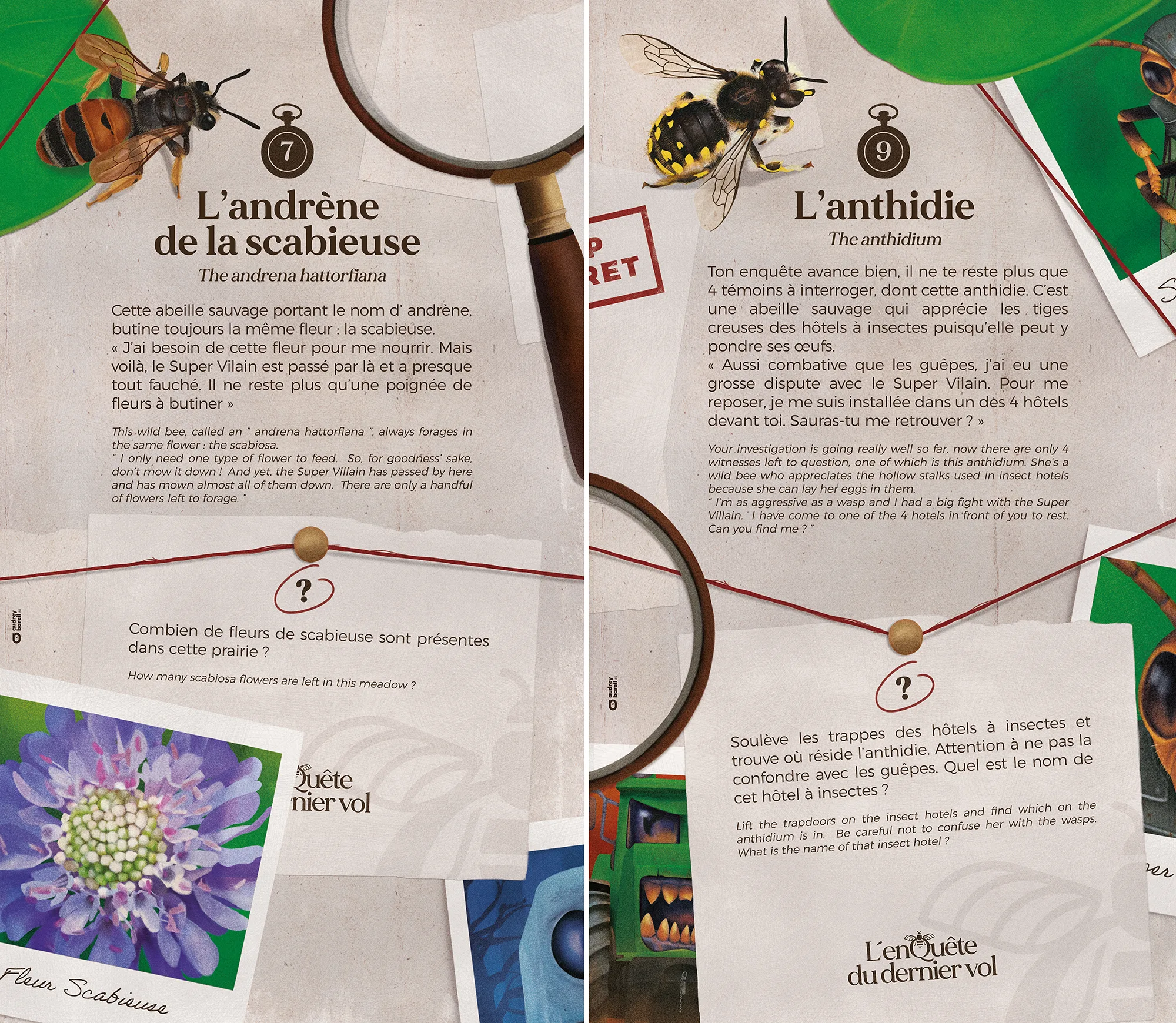 Audrey Bareil Communication La folie de Finfarine Florabella