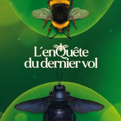 L’ENQUÊTE DU DERNIER VOL