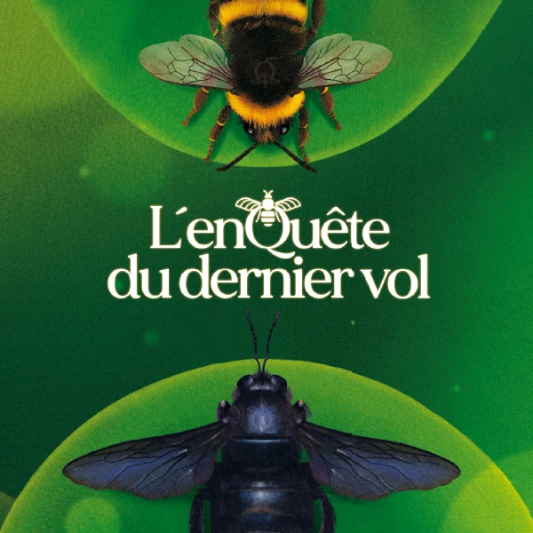 L’ENQUÊTE DU DERNIER VOL
